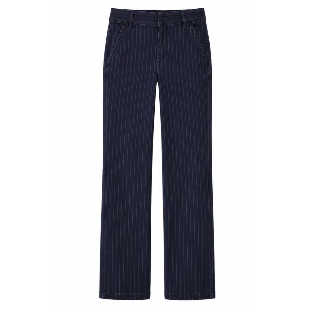 Anthropologie Pilcro & the Letterpress Hyphen Fit Size 29 Railroad Stripe Jeans